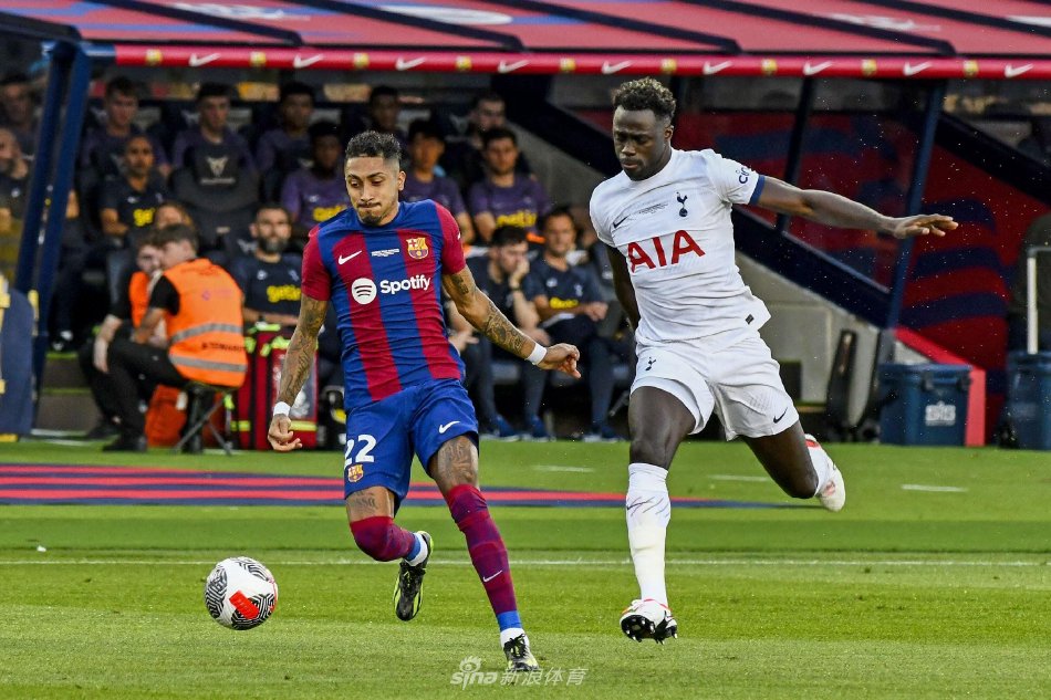 借其强大的 借其强大的